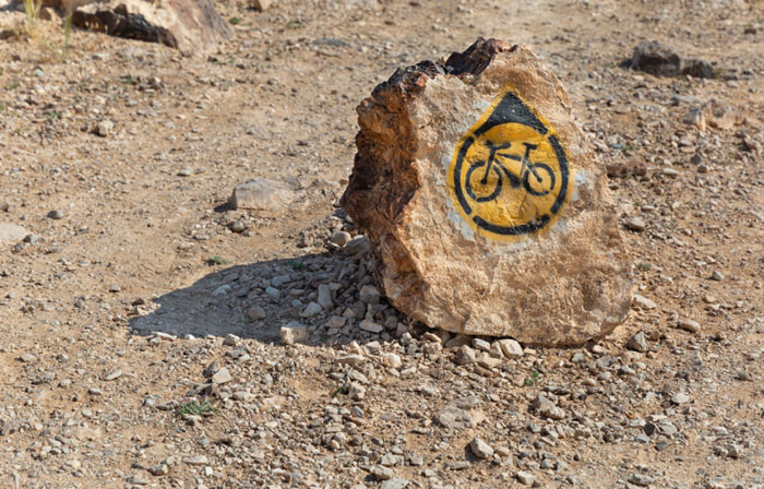 אבן עם לוגו סמרטון